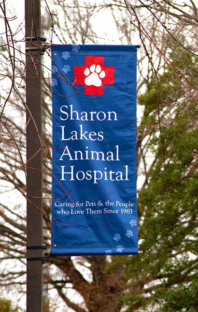 Sharon Lakes Animal Hospital