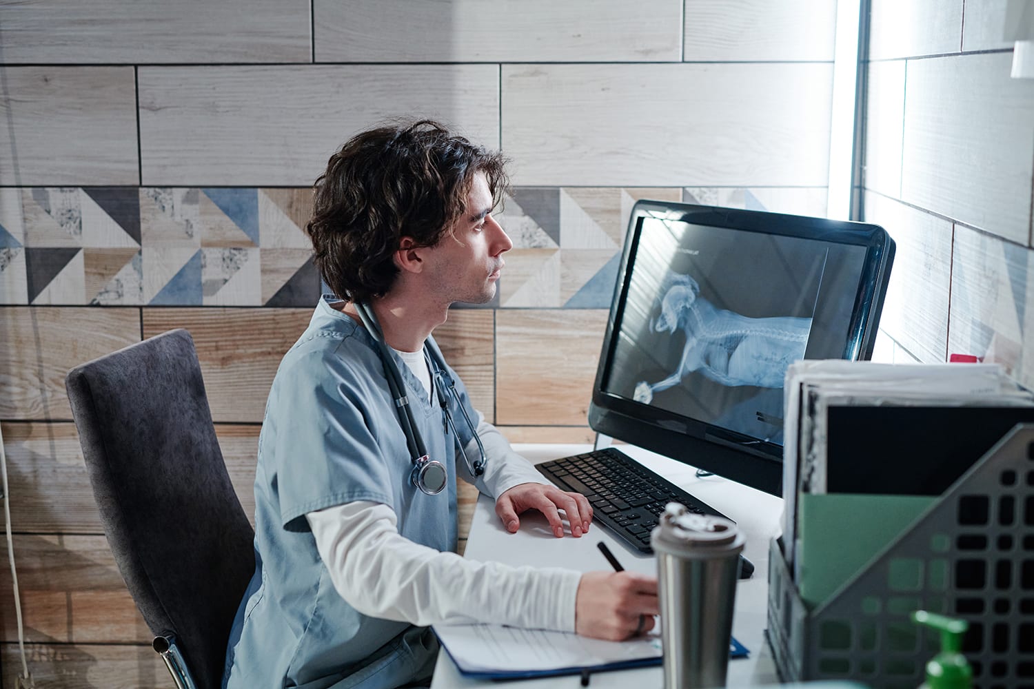 Vet looking at dog X-ray on computer screen.