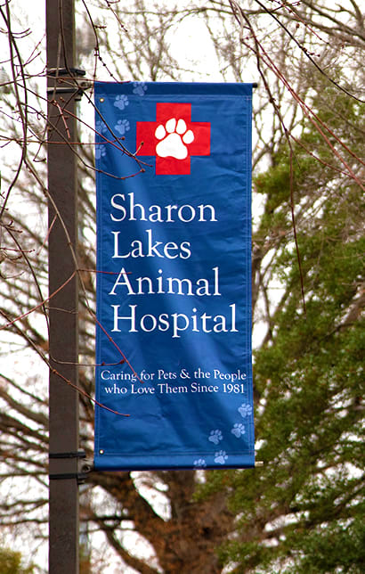 Sharon Lakes Animal Hospital